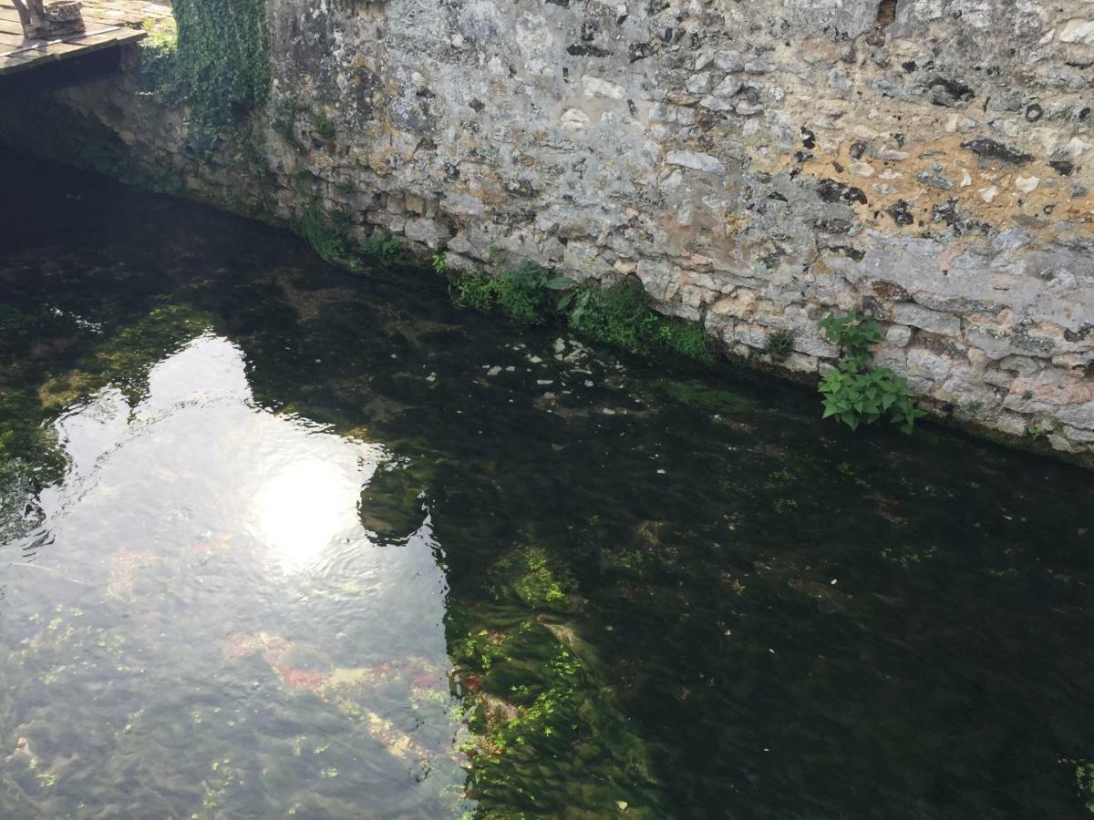 Le Moulin De La Cote Chambre D'Hotes Saint-Vigor Bagian luar foto